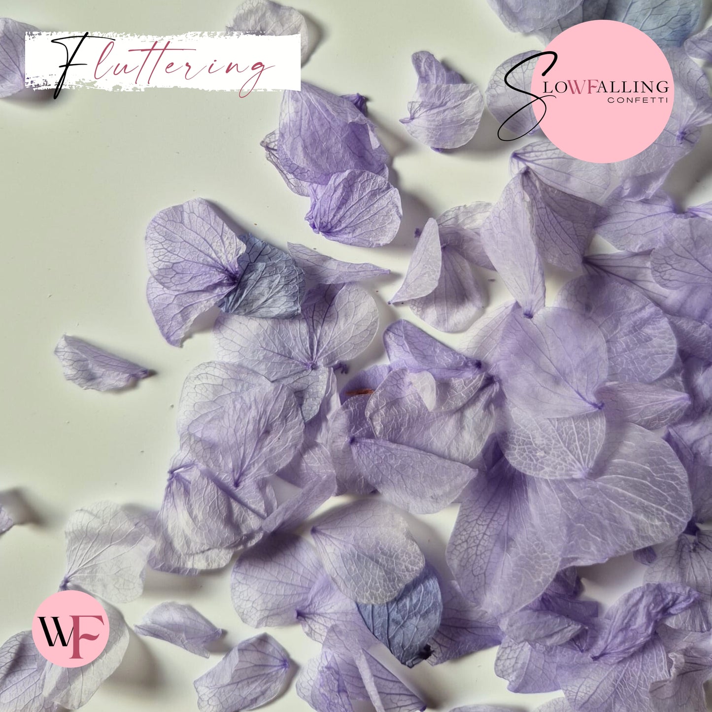 Petal Confetti hydrangea - Soft Purple