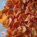 Rose Petals - Burnt Orange