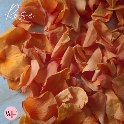 Rose Petals - Burnt Orange