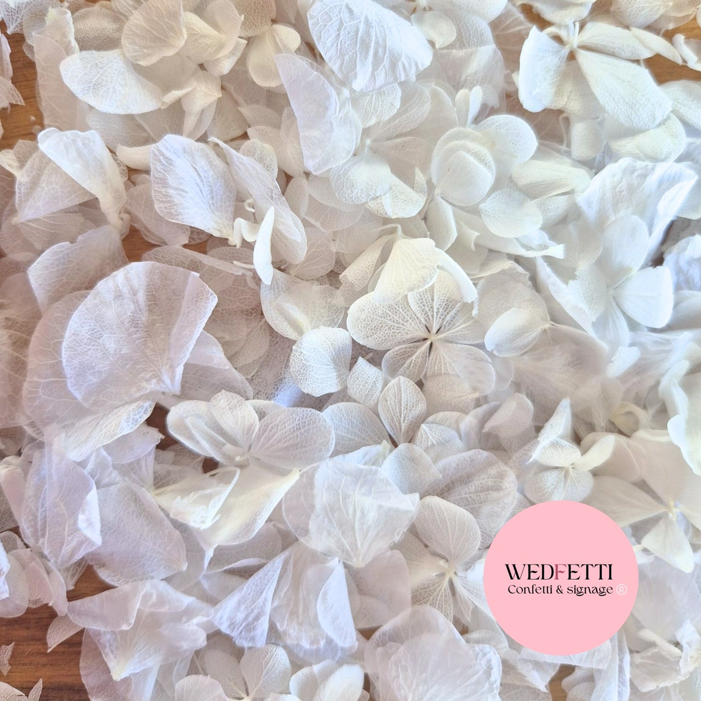 Petal Confetti hydrangea - All The Whites