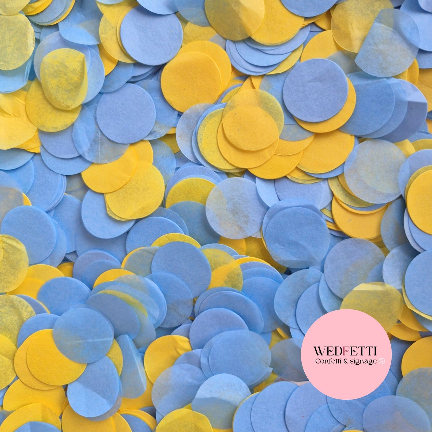 Circles Large 2.5cm Biodegradable - Dusty Blue Burnt Yellow