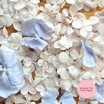 FlutterFly® + Blue Freeze dried hydrangea