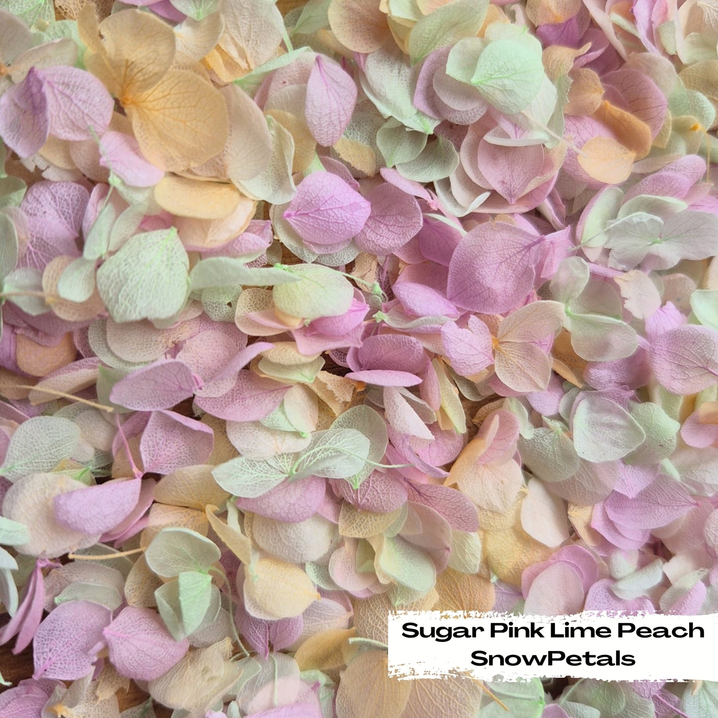 Snow Petal Confetti® - Sugar Pink Lime Peach