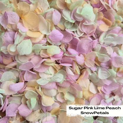 Snow Petal Confetti® - Sugar Pink Lime Peach