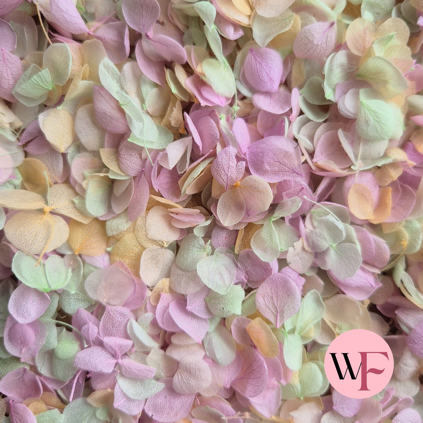 Snow Petal Confetti® - Sugar Pink Lime Peach