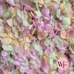 Snow Petal Confetti® - Sugar Pink Lime Peach