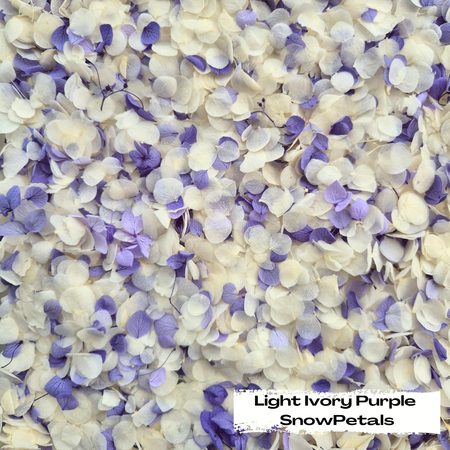 Snow Petal Confetti® - Snow Petals - Light Ivory Purple