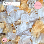 Petal Confetti hydrangea - White Peach