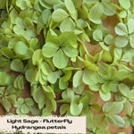 FlutterFly® Petal Confetti - Light Sage Green