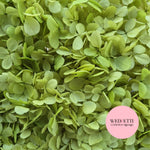 FlutterFly® Petal Confetti - Light Sage Green
