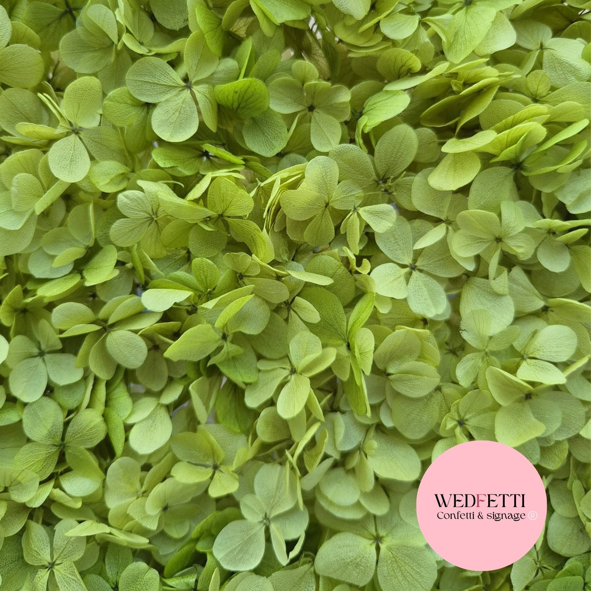 FlutterFly® Petal Confetti - Light Sage Green