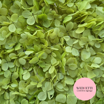 FlutterFly® Petal Confetti - Light Sage Green