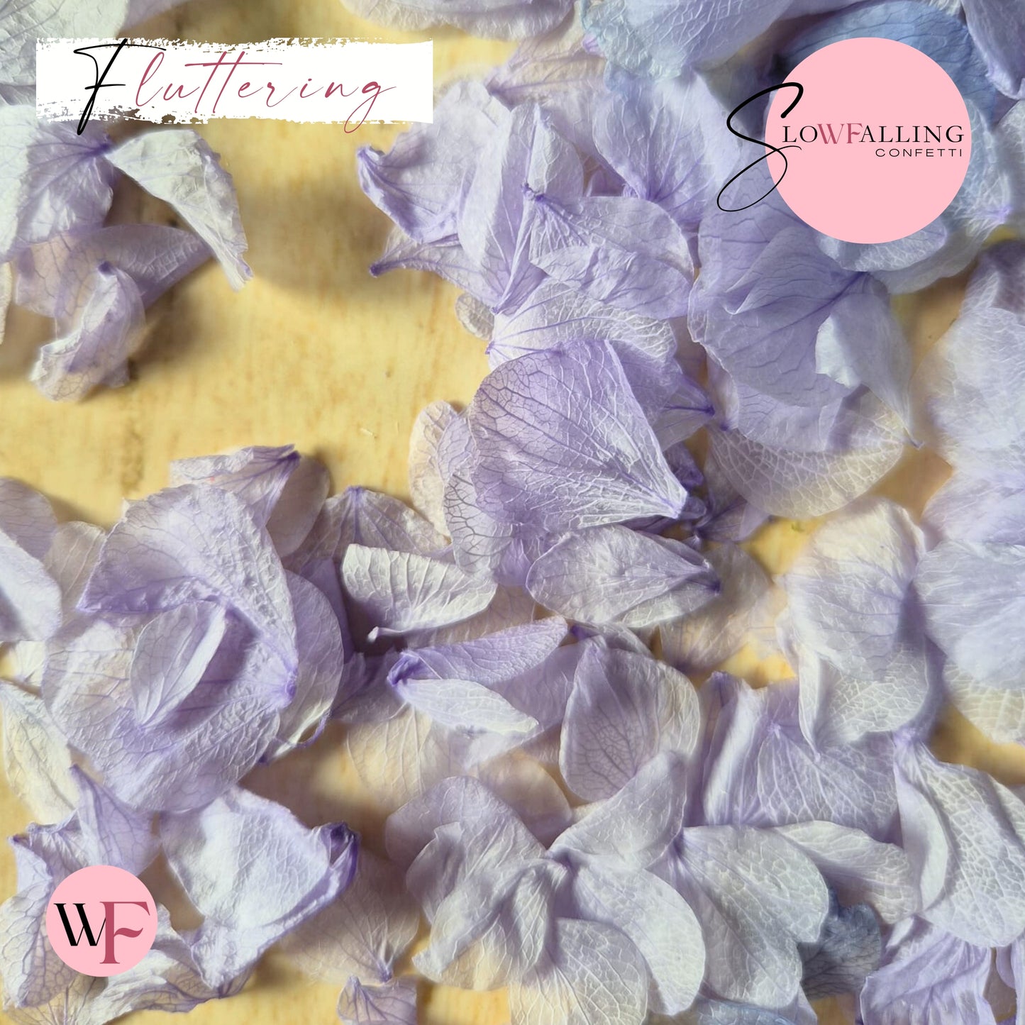 Petal Confetti hydrangea - Soft Purple