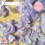 Petal Confetti hydrangea - Soft Purple