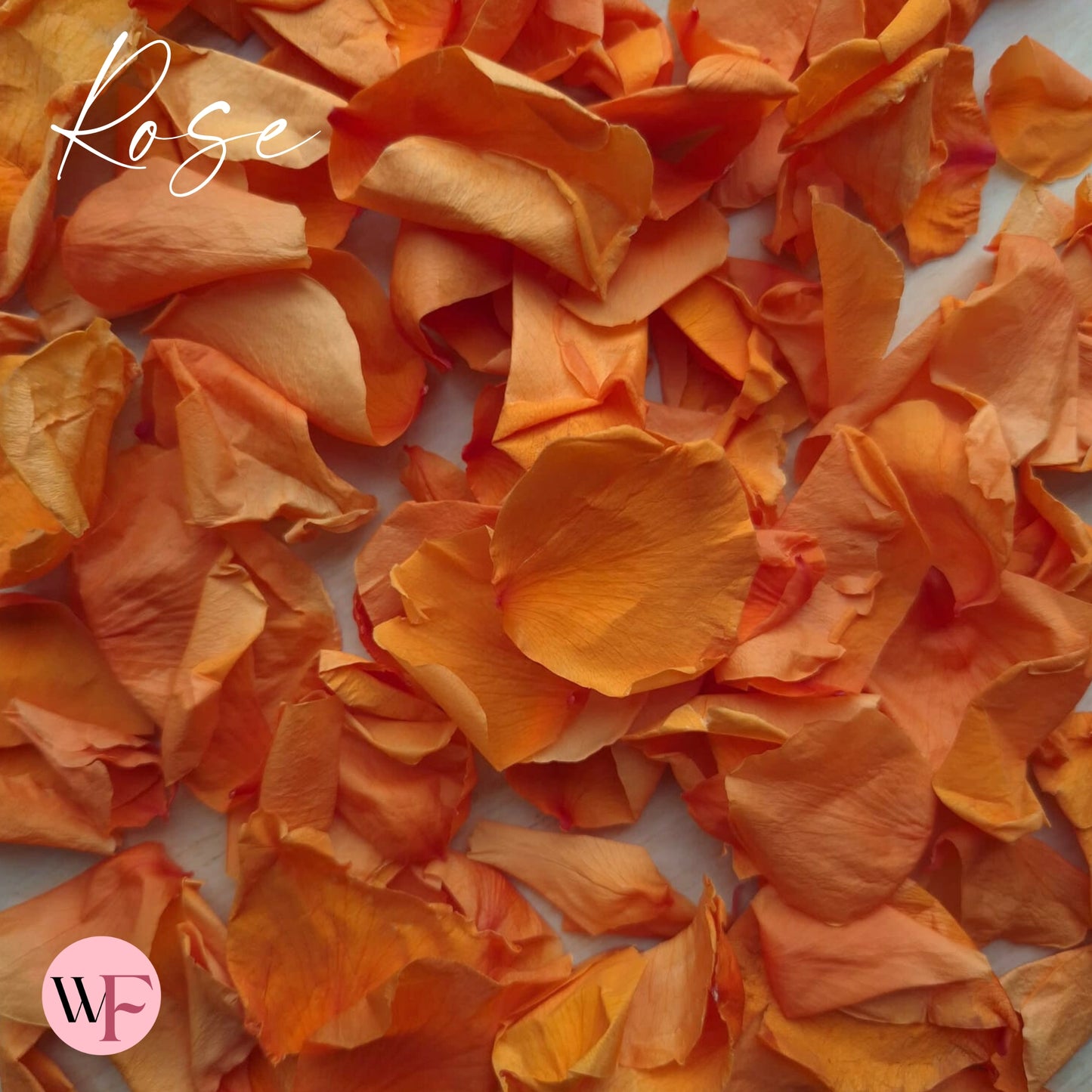 Rose Petals - Burnt Orange