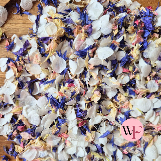 Natural Cornflower Delphinium & Snow Petal® mix - White