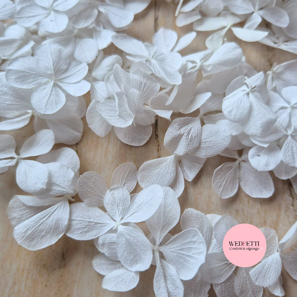 Pure White FlutterFly Petal Confetti | SAMPLE + FREE DELIVERY