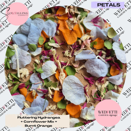 Fluttering Hydrangea + Cornflower Mix + Burnt Orange