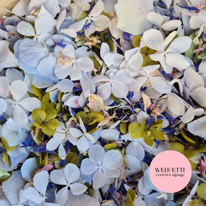 FlutterFly® + Delphinium hydrangea mix