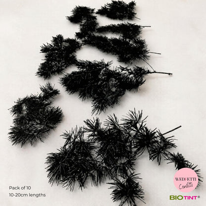 Dried & Preserved Pine Leaves on Stems