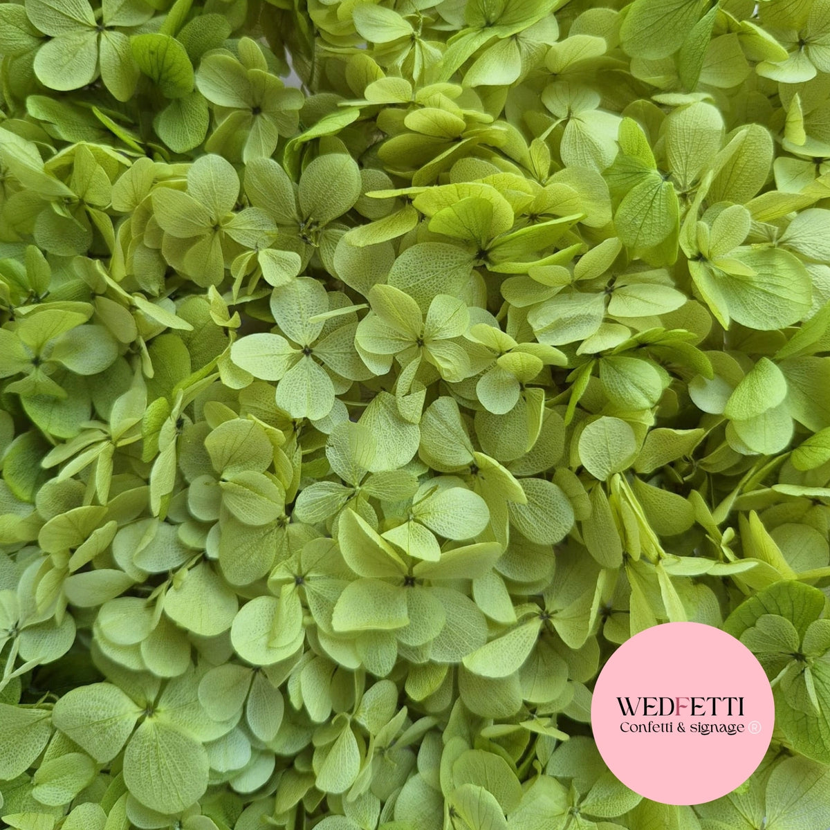 FlutterFly® Petal Confetti - Light Sage Green