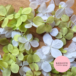 FlutterFly® Petal Confetti - Light Sage Green + White