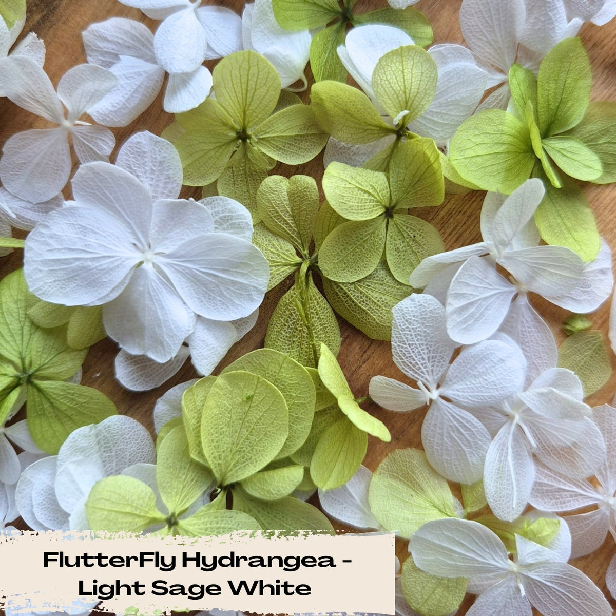 FlutterFly® Petal Confetti - Light Sage Green + White