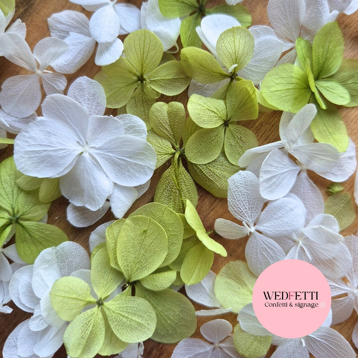 FlutterFly® Petal Confetti - Light Sage Green + White