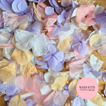 Petal Confetti hydrangea - Soft Pastel peach mix