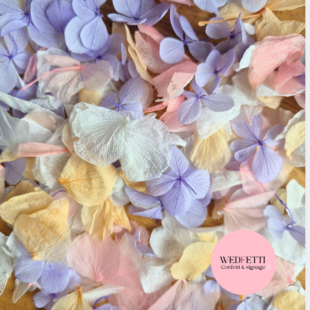 Petal Confetti hydrangea - Soft Pastel peach mix