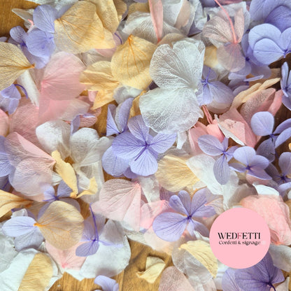 Petal Confetti hydrangea - Soft Pastel peach mix