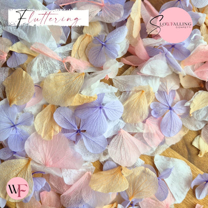 Petal Confetti hydrangea - Soft Pastel peach mix