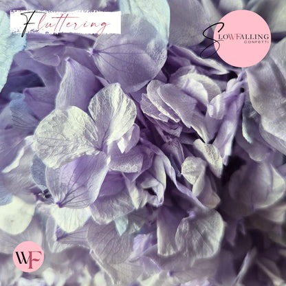 Petal Confetti hydrangea - Soft Purple