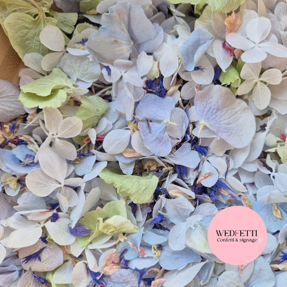 FlutterFly® + Delphinium hydrangea