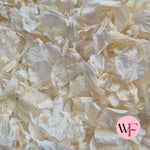 Hydrangea petals - Ivory White