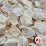 Hydrangea petals - Ivory White