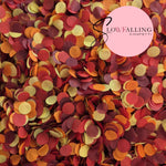 Slow falling paper Confetti - Burning Sunset