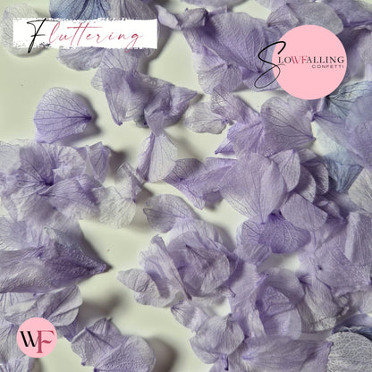 Petal Confetti hydrangea - Soft Purple