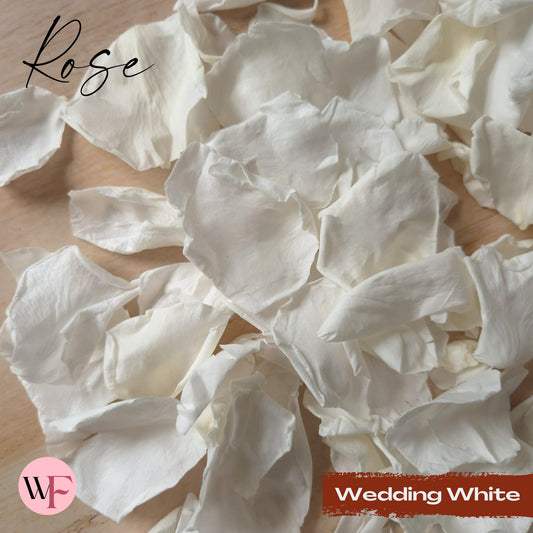 Rose Petals - Wedding White