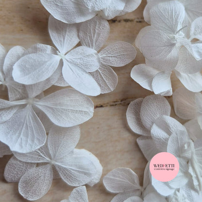 Pure White FlutterFly Petal Confetti