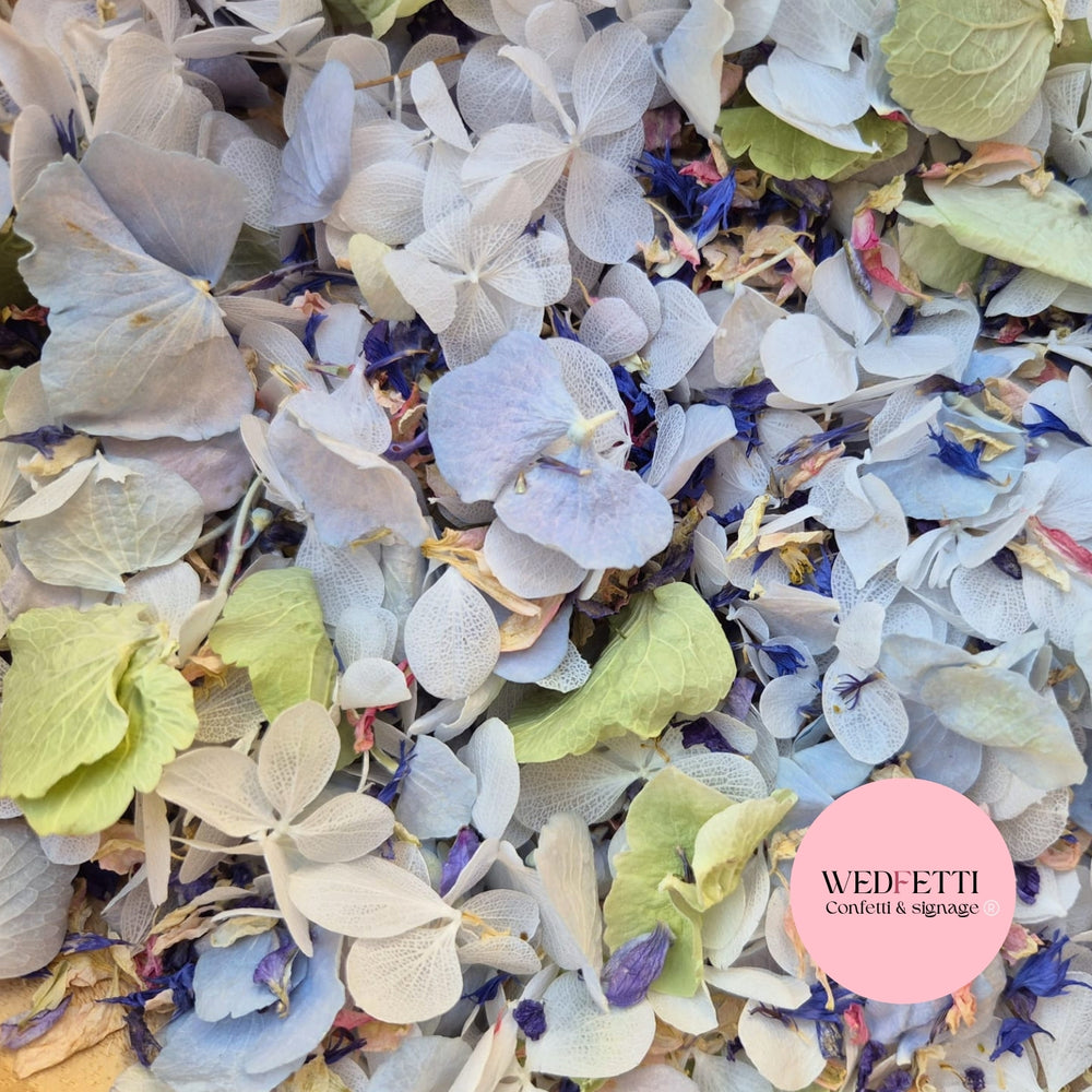 FlutterFly® + Delphinium hydrangea