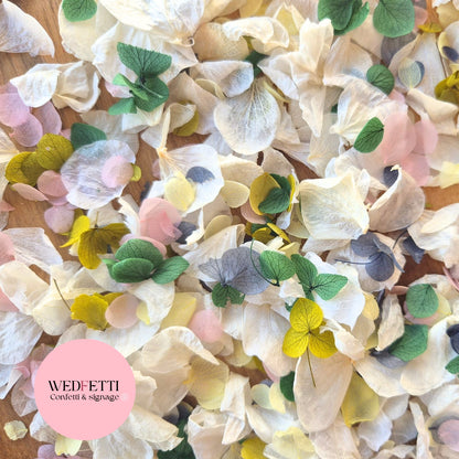 Petal Confetti hydrangea - Light Ivory Dusty Blue lemon 2 green blush
