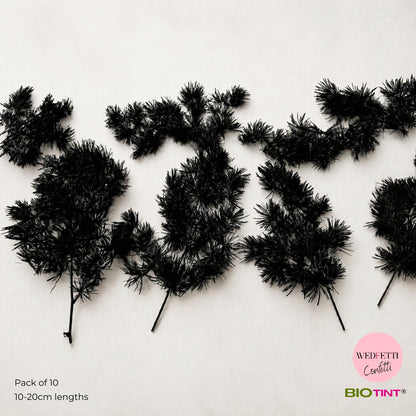 Dried & Preserved Pine Leaves on Stems
