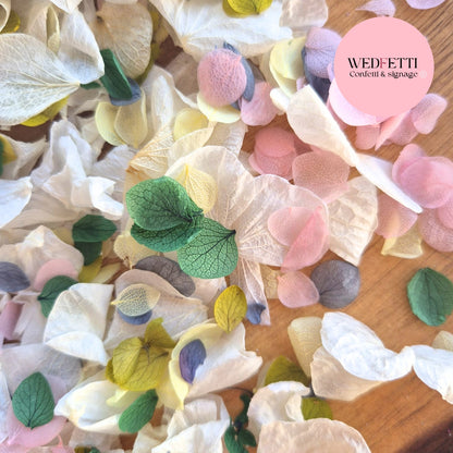 Petal Confetti hydrangea - Light Ivory Dusty Blue lemon 2 green blush