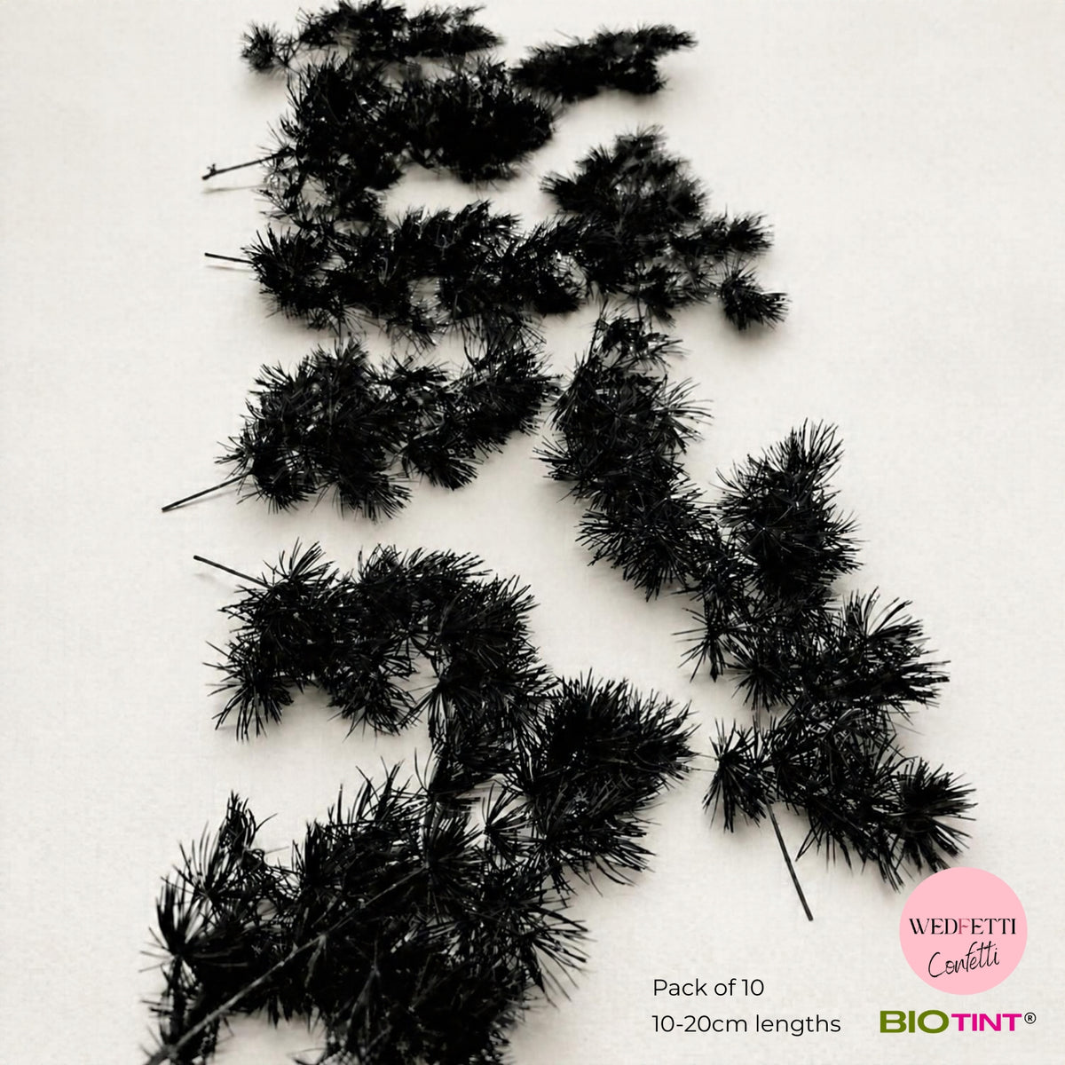 Dried & Preserved Pine Leaves on Stems