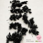 Dried & Preserved Pine Leaves on Stems