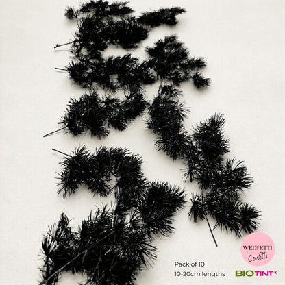 Dried & Preserved Pine Leaves on Stems