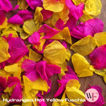 Petal Confetti hydrangea - Hot Yellow Fuschia