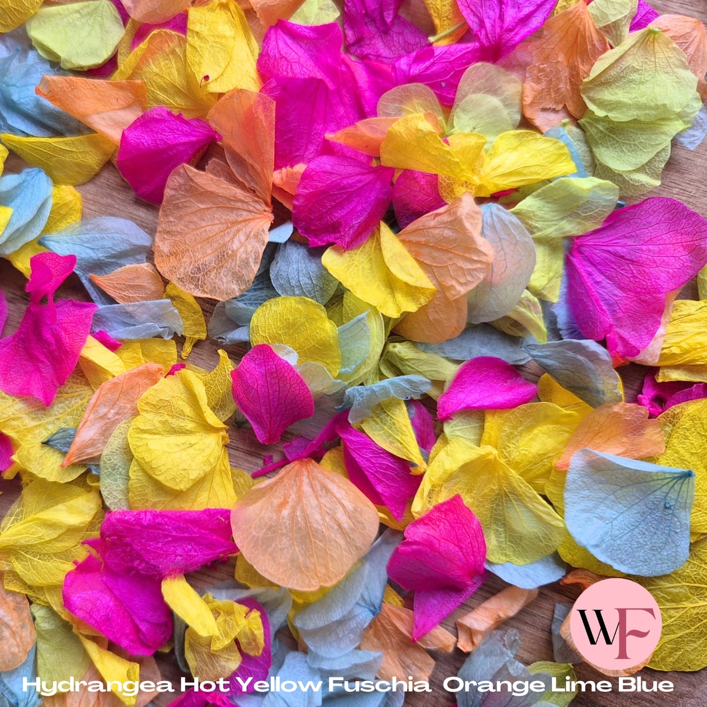Petal Confetti hydrangea - Hot Yellow Fuschia Orange Lime Blue