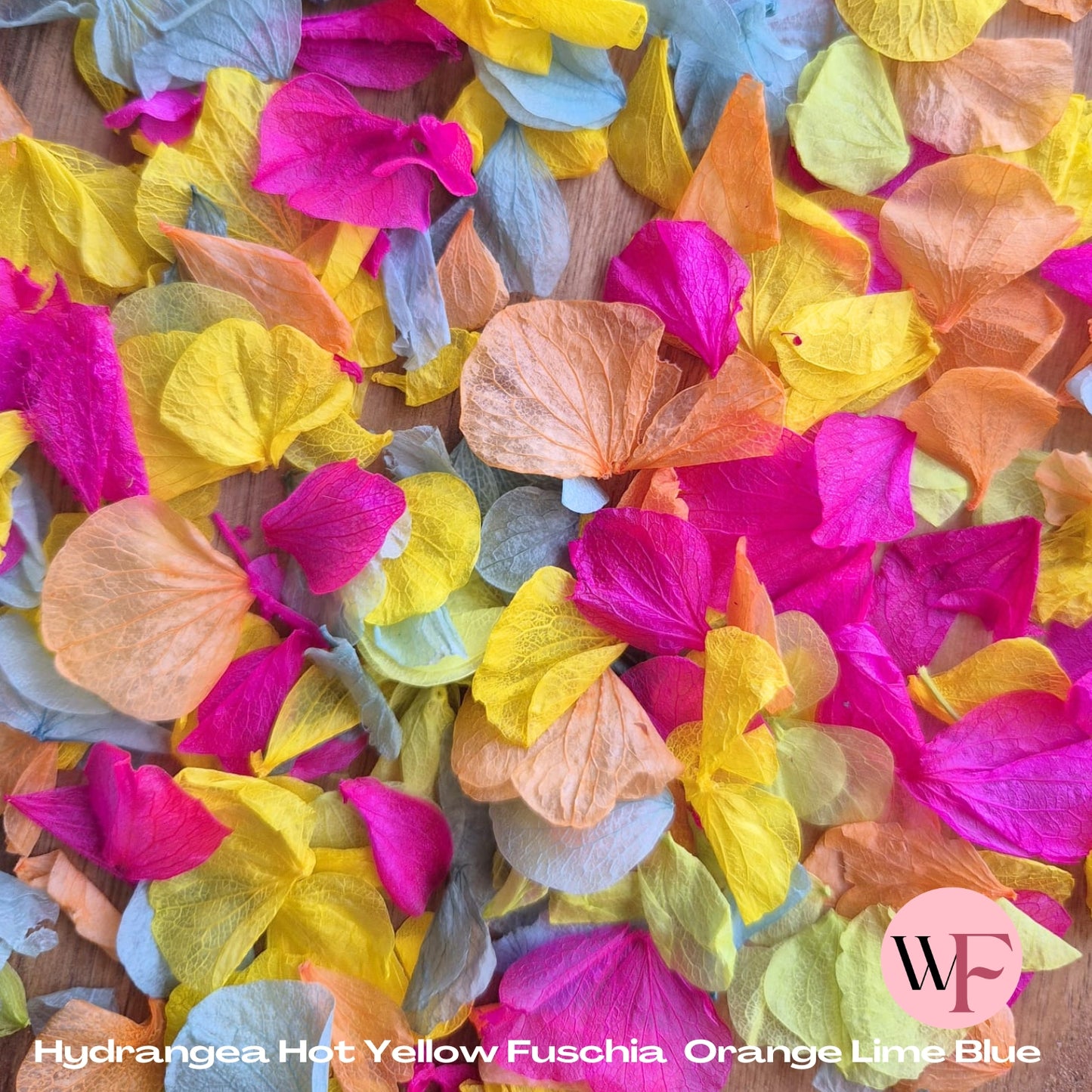 Petal Confetti hydrangea - Hot Yellow Fuschia Orange Lime Blue